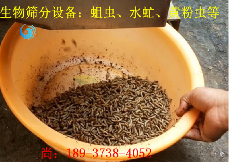 蛆虫筛选3层91香蕉视频免费下载观看